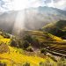 Dịch vụ đăng ký bảo hộ nhãn hiệu tại Yên Bái