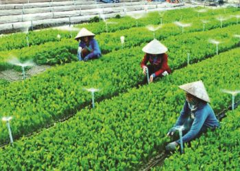 Điều kiện thành lập hợp tác xã theo quy định của pháp luật?