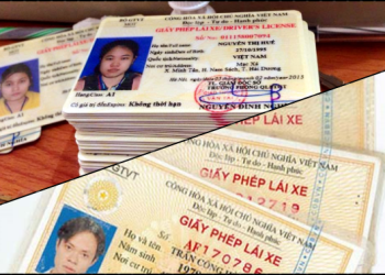 Dùng bản sao Hộ chiếu để cấp lại Bằng lái xe A1 hay không?