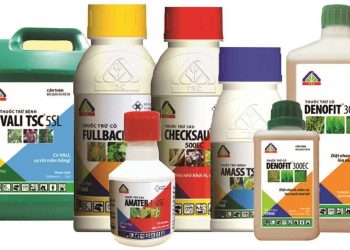 Giấy phép nhập khẩu thuốc bảo vệ thực vật mới 2022