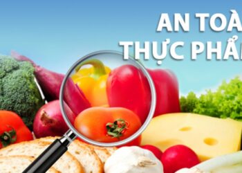 Giấy phép vệ sinh an toàn thực phẩm