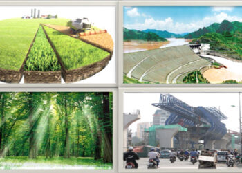 Hành vi xâm phạm tài sản Nhà nước bị phạt như thế nào