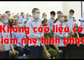 Hướng dẫn thủ tục làm đơn kháng cáo năm 2022