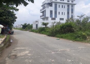 Mua nhầm đất tranh chấp
