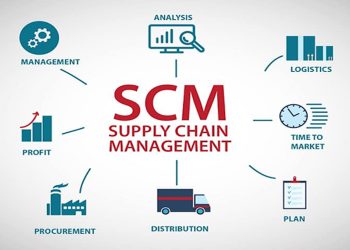 Ngành nghề cung ứng nhân lực