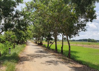 Quy định đo đạc địa chính