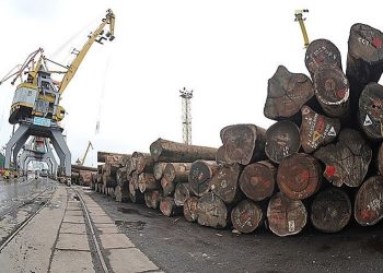 Quy định về kiểm dịch gỗ nhập khẩu năm 2022;