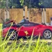Tài xế lái xe Ferrari 488 tông đổ cây vỡ toác đầu xe có phải bồi thường không