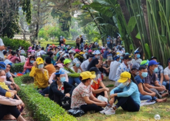Tình huống tranh chấp tập thể về lợi ích giải quyết như thế nào?