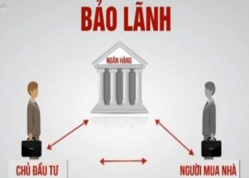 Trách nhiệm của người bảo lãnh vay tiền là gì theo quy định