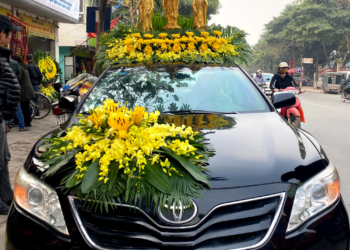 Xe tham gia tang lễ có được miễn phí sử dụng đường bộ hay không?