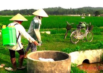 Xin Giấy phép Cục Bảo vệ thực vật nhanh, đơn giản
