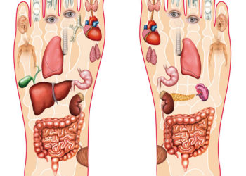 Xin giấy phép xoa bóp bấm huyệt như thế nào?