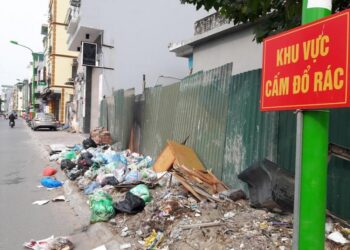 Xử phạt đổ rác không đúng nơi quy định