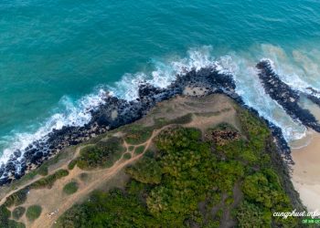 Hướng dẫn đăng ký bảo hộ nhãn hiệu tại Phú Yên