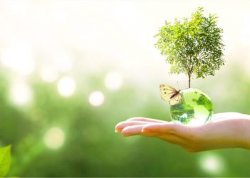 Mẫu cam kết bảo vệ môi trường hộ gia đình năm 2022