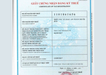 Giấy chứng nhận đăng ký thuế có bắt buộc không?