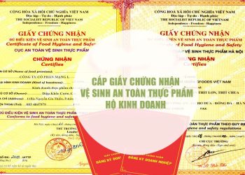 Giấy chứng nhận vệ sinh an toàn thực phẩm cho hộ kinh doanh
