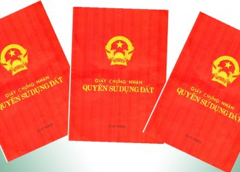 Mẫu giấy cho tặng đất chưa có sổ