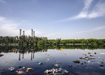 Nhà máy xả chất thải chưa qua xử lý ra môi trường có bị xử phạt?