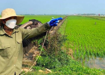 Những loại đất nào không được cấp sổ đỏ tại Việt Nam?