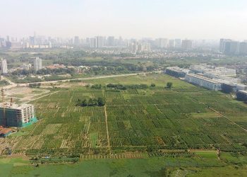 Quy định về cung cấp thông tin quy hoạch