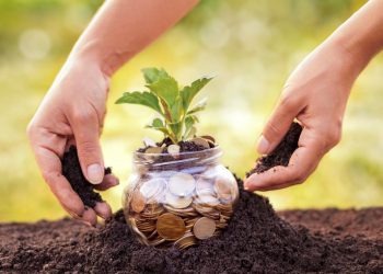 Quyền sử dụng đất không bị kê biên để bảo đảm thi hành án? 