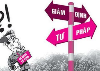 Quyền và nghĩa vụ của người giám định được quy định ra sao'