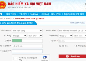 Cách tra cứu thời gian đóng bảo hiểm xã hội
