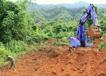 Có được cấp giấy chứng nhận quyền sử dụng đất khi làm nhà ở trên đất khai hoang?
