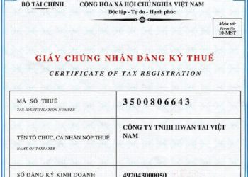 Đơn xin cấp lại mã số thuế doanh nghiệp