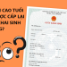 Người cao tuổi có được cấp lại giấy khai sinh không