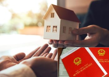 Thủ tục bố mẹ cho con đất 2022