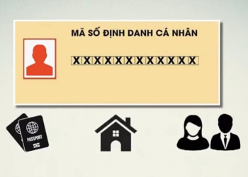 Tra cứu số định danh cá nhân cho trẻ em như thế nào?