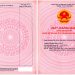 Cách xử lý khi sổ đỏ cấp sai vị trí đất như thế nào?