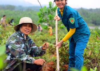 Đất rừng sản xuất có được trồng cây ăn quả hay không?