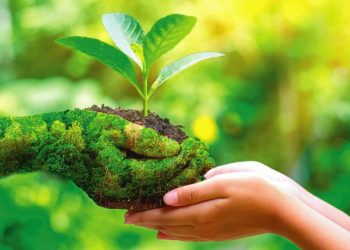 Giấy phép môi trường cấp huyện