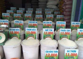 Hộ kinh doanh nhỏ lẻ có phải nộp thuế không?