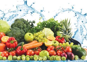 Hồ sơ xin giấy vệ sinh an toàn thực phẩm theo quy định mới nhất