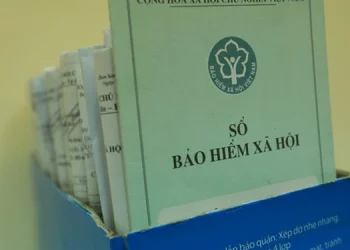 Hợp đồng dưới 1 tháng có phải đóng bảo hiểm không