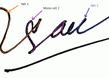 Mẫu giám định chữ ký thông dụng nhất hiện nay