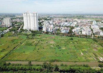 Mẫu phương án giao đất lâm nghiệp năm 2022