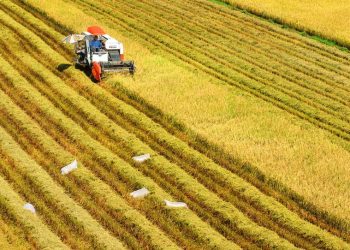 Quy định hỗ trợ khi thu hồi đất nông nghiệp
