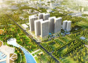 Quy định pháp luật về giấy đồng sở hữu đất năm 2022