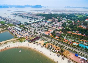 Thủ tục bán đất dịch vụ đã có sổ đỏ