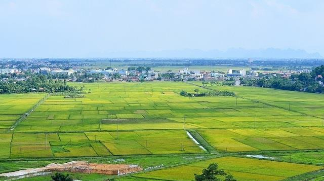 Thực trạng sử dụng đất ở Việt Nam hiện nay 