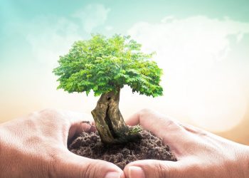 Ưu đãi thuế bảo vệ môi trường năm 2022