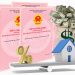 Vay thế chấp sổ hồng đồng sở hữu