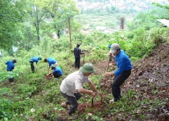 Chuyển đổi rừng phòng hộ sang rừng sản xuất
