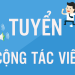 Hợp đồng cộng tác viên không đóng BHXH đúng không?